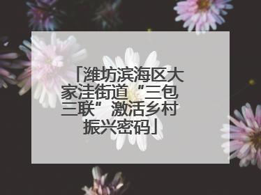 潍坊滨海区大家洼街道“三包三联”激活乡村振兴密码