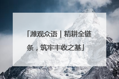 潍观众语｜精耕全链条，筑牢丰收之基
