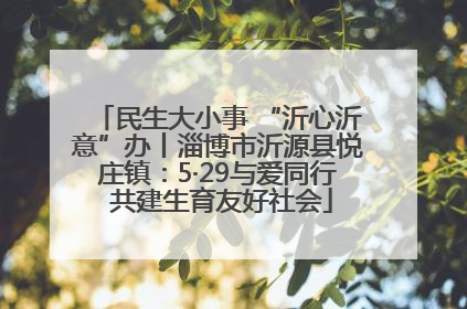 民生大小事 “沂心沂意”办丨淄博市沂源县悦庄镇：5·29与爱同行 共建生育友好社会