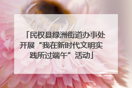 民权县绿洲街道办事处开展“我在新时代文明实践所过端午”活动