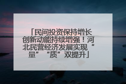 民间投资保持增长 创新动能持续增强！河北民营经济发展实现“量”“质”双提升