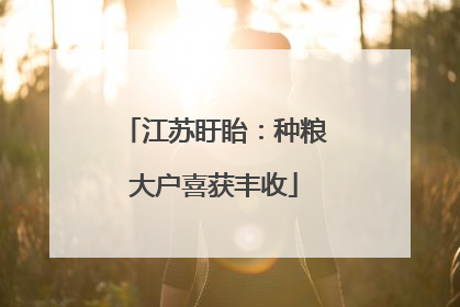 江苏盱眙：种粮大户喜获丰收