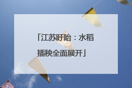 江苏盱眙：水稻插秧全面展开