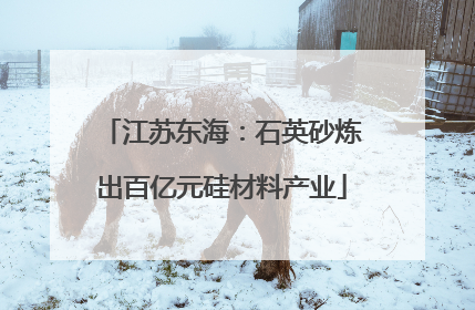 江苏东海：石英砂炼出百亿元硅材料产业
