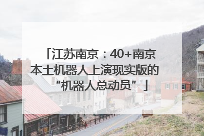 江苏南京：40+南京本土机器人上演现实版的“机器人总动员”