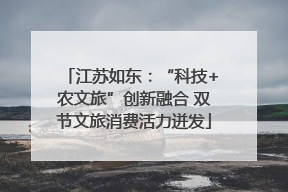 江苏如东：“科技+农文旅”创新融合 双节文旅消费活力迸发