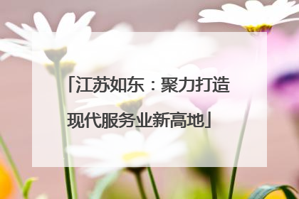 江苏如东：聚力打造现代服务业新高地