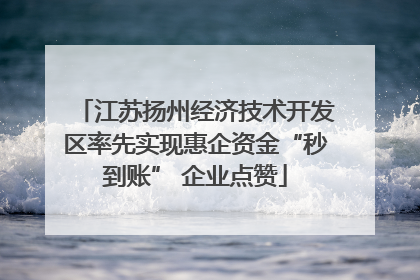 江苏扬州经济技术开发区率先实现惠企资金“秒到账” 企业点赞