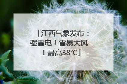 江西气象发布：强雷电！雷暴大风！最高38℃
