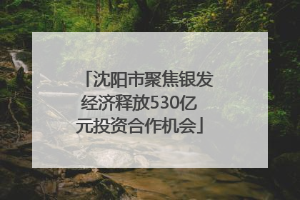 沈阳市聚焦银发经济释放530亿元投资合作机会