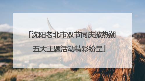 沈阳老北市双节同庆掀热潮 五大主题活动精彩纷呈