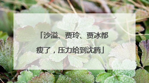 沙溢、贾玲、贾冰都瘦了，压力给到沈腾