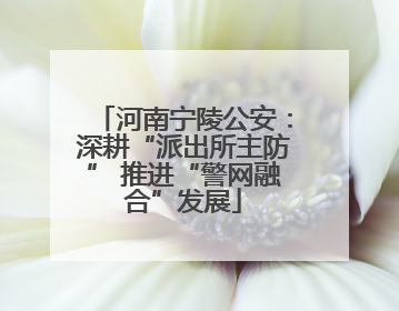 河南宁陵公安：深耕“派出所主防” 推进“警网融合”发展