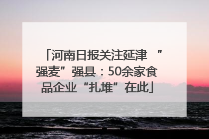 河南日报关注延津 “强麦”强县：50余家食品企业“扎堆”在此