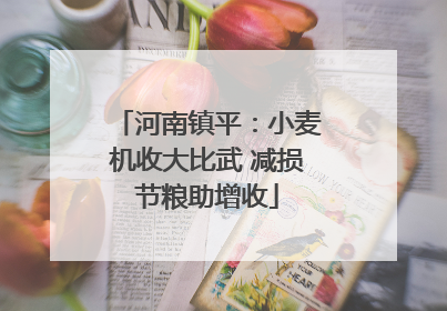 河南镇平：小麦机收大比武 减损节粮助增收
