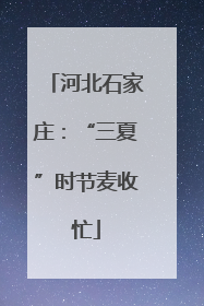 河北石家庄：“三夏”时节麦收忙