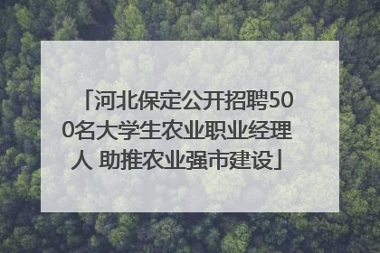 河北保定公开招聘500名大学生农业职业经理人 助推农业强市建设