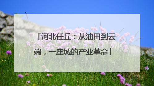 河北任丘：从油田到云端，一座城的产业革命