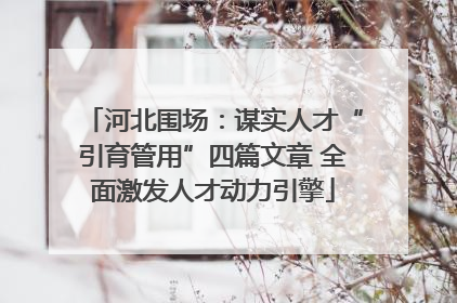 河北围场：谋实人才“引育管用”四篇文章 全面激发人才动力引擎