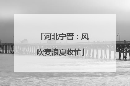 河北宁晋：风吹麦浪夏收忙