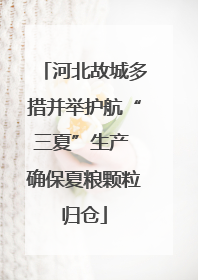 河北故城多措并举护航“三夏”生产 确保夏粮颗粒归仓