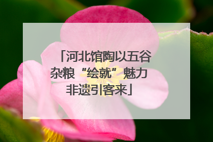 河北馆陶以五谷杂粮“绘就”魅力非遗引客来