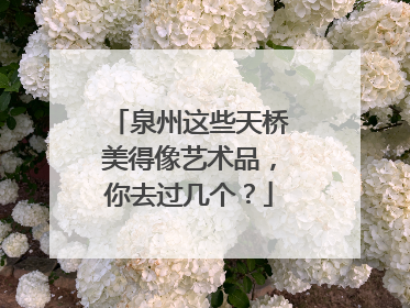 泉州这些天桥美得像艺术品，你去过几个？