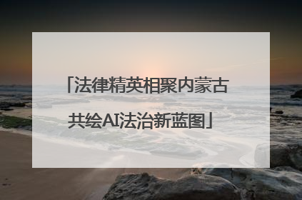 法律精英相聚内蒙古 共绘AI法治新蓝图