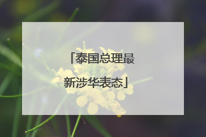 泰国总理最新涉华表态
