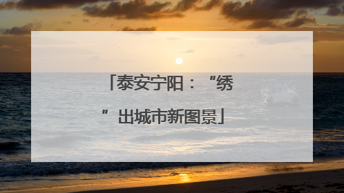 泰安宁阳：“绣”出城市新图景