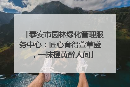 泰安市园林绿化管理服务中心：匠心育得萱草盛，一抹橙黄醉人间