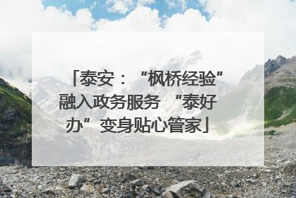 泰安：“枫桥经验”融入政务服务 “泰好办”变身贴心管家