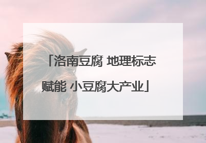 洛南豆腐 地理标志赋能 小豆腐大产业