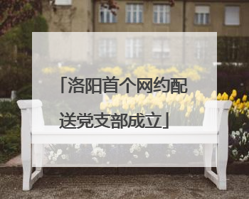 洛阳首个网约配送党支部成立