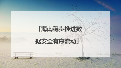海南稳步推进数据安全有序流动