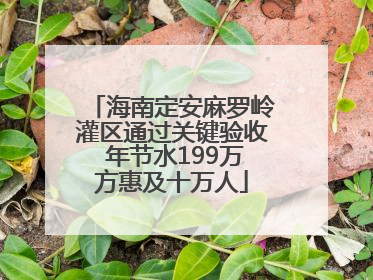 海南定安麻罗岭灌区通过关键验收 年节水199万方惠及十万人