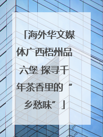 海外华文媒体广西梧州品六堡 探寻千年茶香里的“乡愁味”
