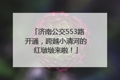济南公交553路开通，跨越小清河的红墩墩来啦！