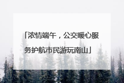 浓情端午，公交暖心服务护航市民游玩南山