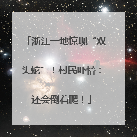 浙江一地惊现“双头蛇”！村民吓懵：还会倒着爬！