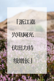 浙江嘉兴电网光伏出力持续增长