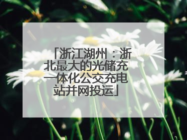 浙江湖州：浙北最大的光储充一体化公交充电站并网投运