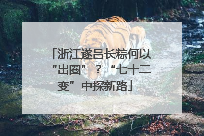 浙江遂昌长粽何以“出圈”？“七十二变”中探新路