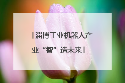淄博工业机器人产业“智”造未来