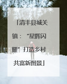 清丰县城关镇：“星辉闪耀”打造乡村共富新图景