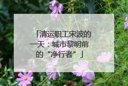 清运职工宋波的一天：城市黎明前的“净行者”