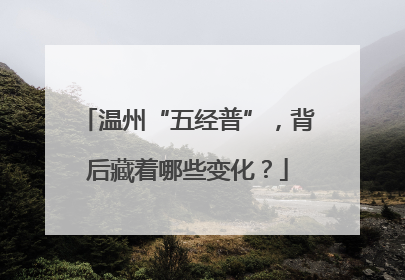 温州“五经普”，背后藏着哪些变化？