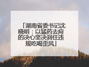 湖南省委书记沈晓明：以猛药去疴的决心坚决刹住违规吃喝歪风