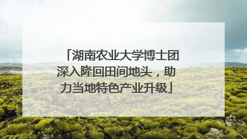 湖南农业大学博士团深入隆回田间地头，助力当地特色产业升级