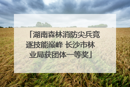 湖南森林消防尖兵竞逐技能巅峰 长沙市林业局获团体一等奖